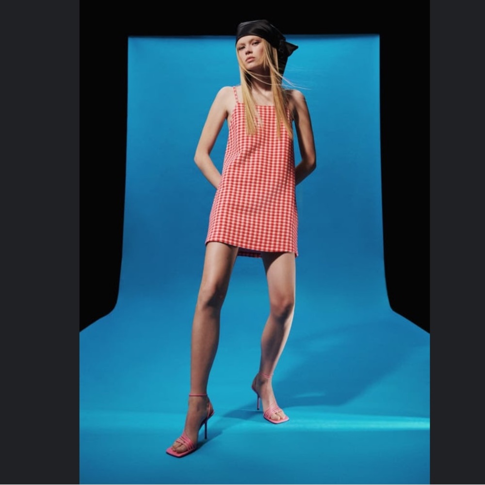 Zara gingham dress, never worn, small